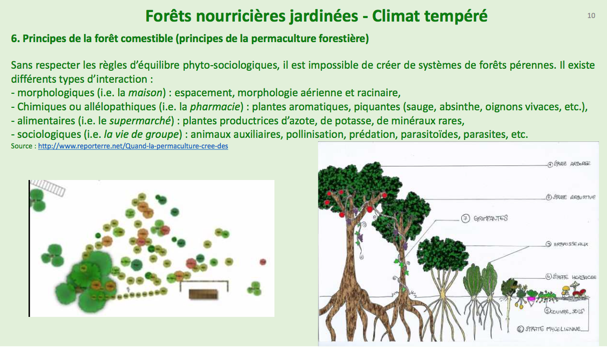 жардин локация. парке куранс. Le petit jardin dans la foret. артикул arboretum rouge. Le petit jardin dans la foret.